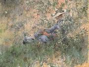 Carl Larsson Girl Among the Hawthorn Blossoms USA oil painting artist